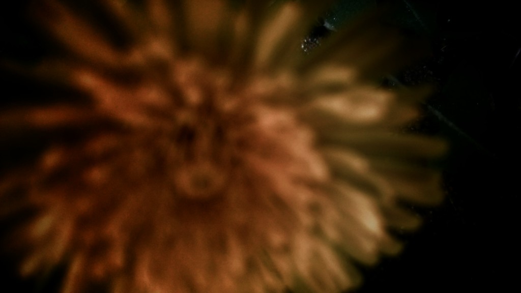 DSC_0116~3