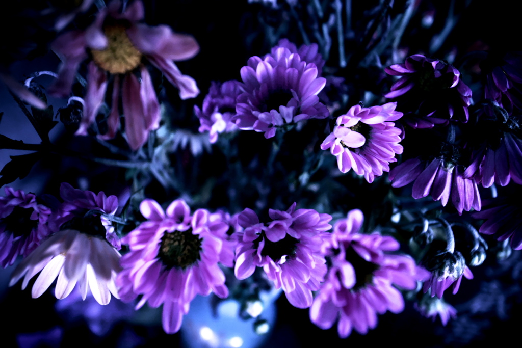 R0019824clrSLK
