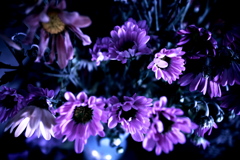 R0019824clrSLK