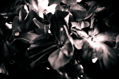 R0019391bwSLK