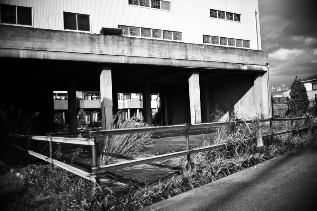 DSC06344bwSLK