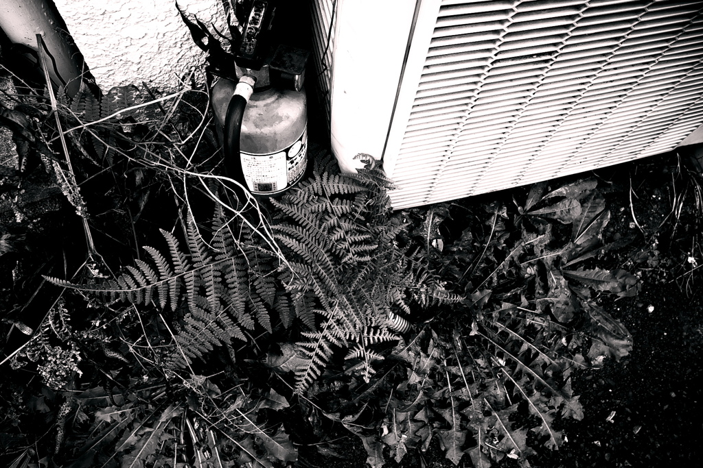 R0019801bwSLK