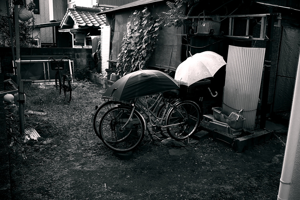 R0019207bwSLK
