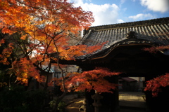 DSC09127clrSLK