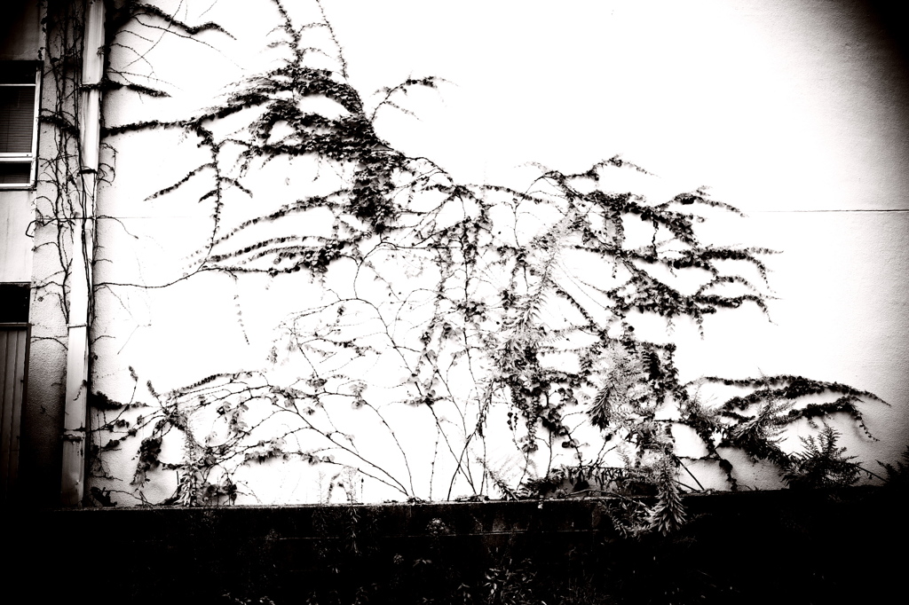 DSC00773-2bwSLK2