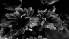 IMG_20160531_171247