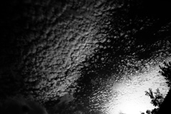 R0019672bwSLK