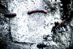 R0019530clrSLK