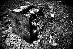 R0019333bwSLK