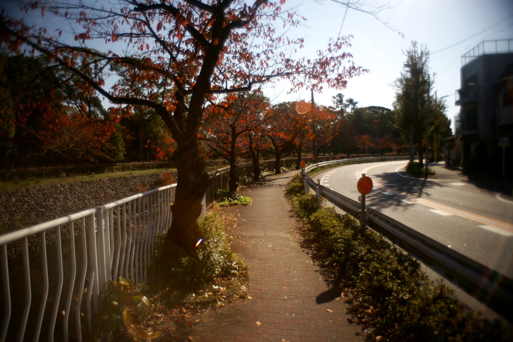 DSC09014-2clrSRSLK