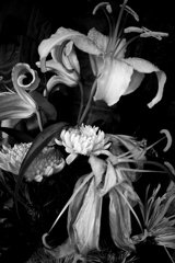R0019827bwSLK