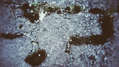 IMG_20160220_092542~2