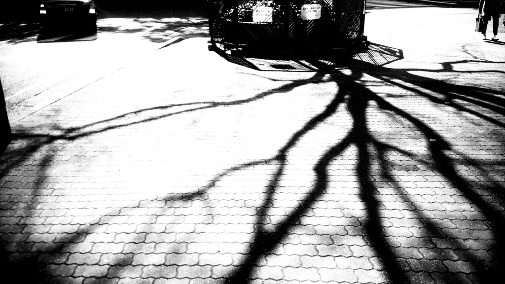 DSC_0922JPGbwSLK