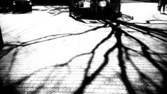 DSC_0922JPGbwSLK
