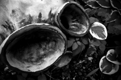 R0018973bwSLK