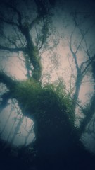 IMG_20160217_163346~2