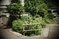 DSC07616clrSLK