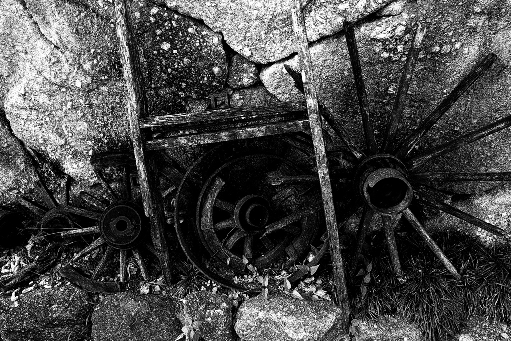 R0019504bwSLK