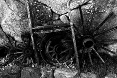 R0019504bwSLK