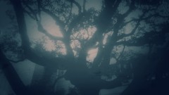 IMG_20160217_162250~2