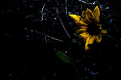 R0019873clrSLK