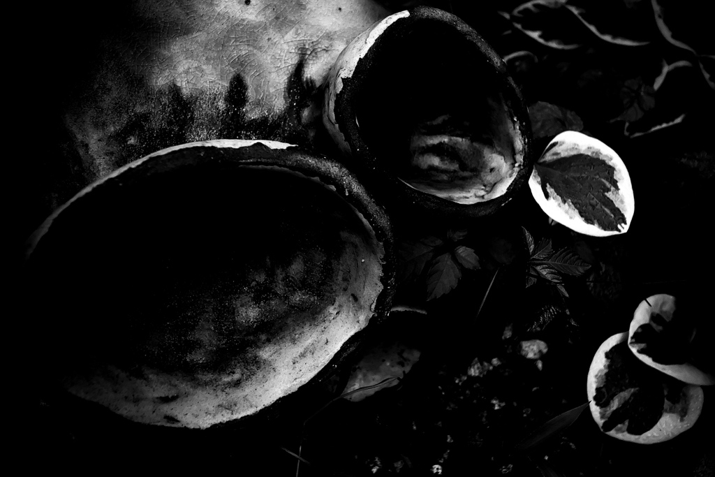 R0018973-2bwSLK