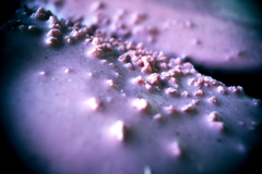 R0019469clrSLK