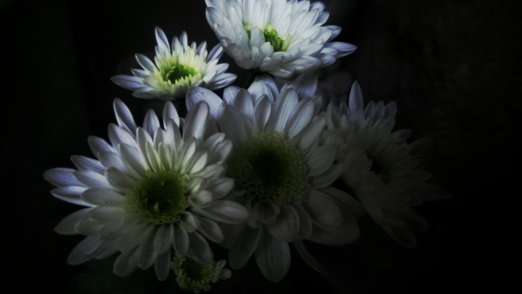 DSC_1273~3
