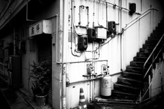 R0019810bwSLK