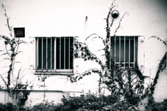 R0018955-2bwSLK