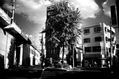 DSC08006-2bwSLK