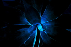 R0019783clrSLK