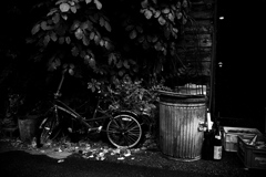 R0019808bwSLK