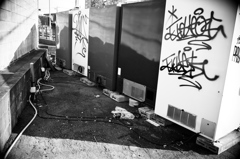 R0019008bwSLK