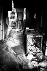 R0019781bwSLK