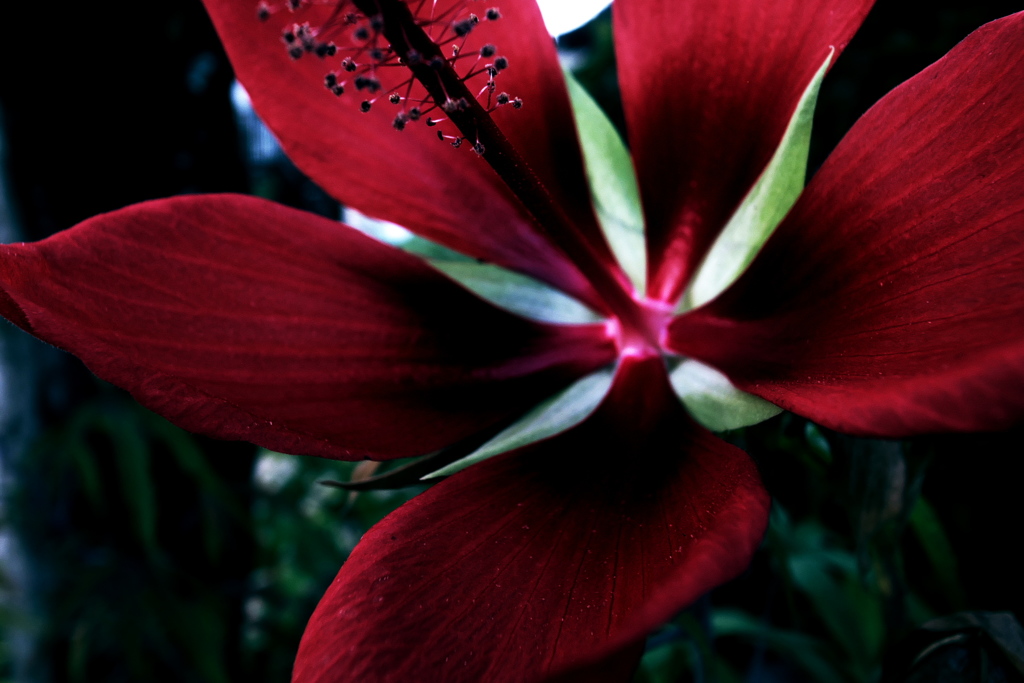 R0019656clrSLK