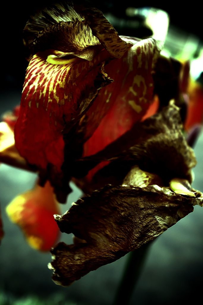 R0019380clrSLK