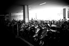 DSC07608bwSLK