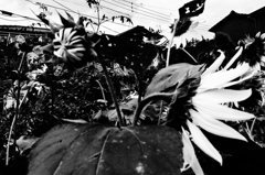 23-R0014867prnJPGbwSLK