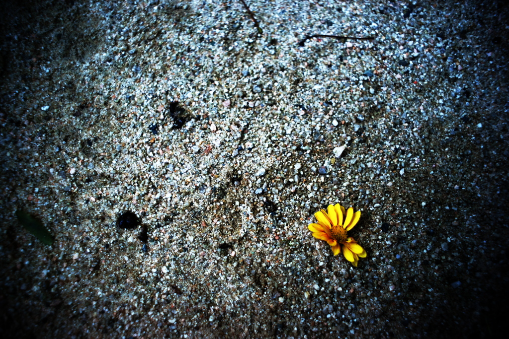 DSC00580-2clrSRSLK