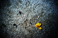DSC00580-2clrSRSLK