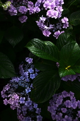 R0018882clrSLK
