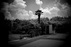 DSC05775-2bwSLK