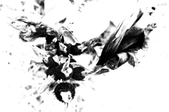 R0019407bwSLK
