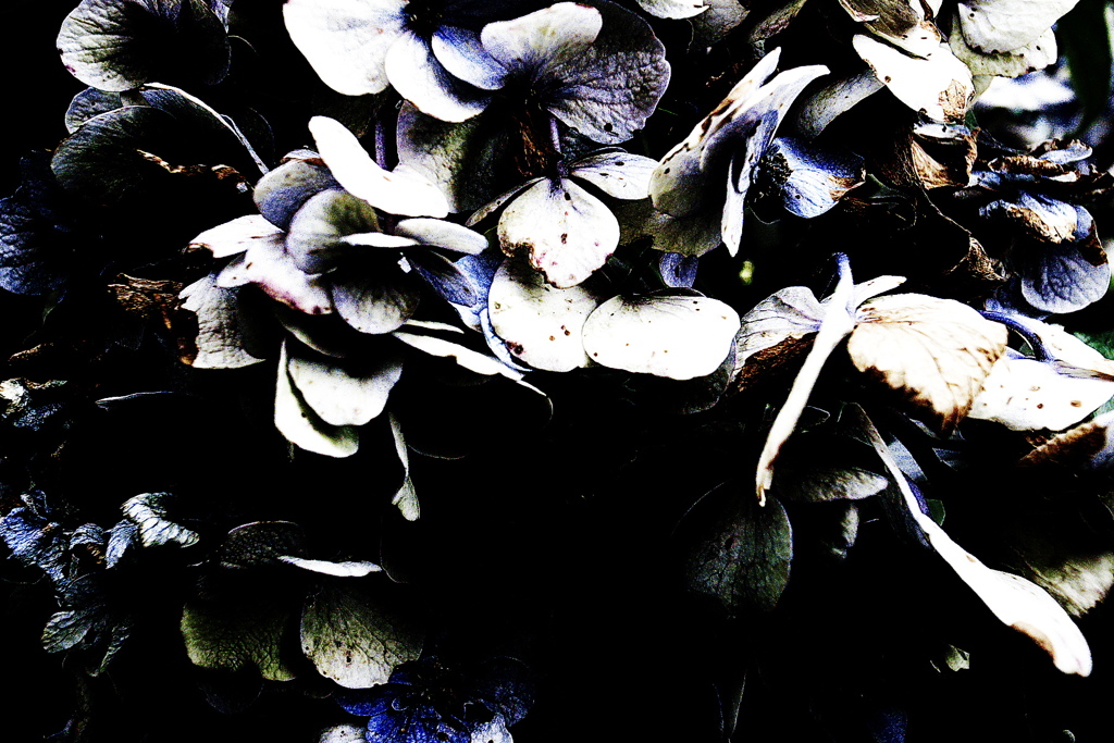 R0019211clrSLK