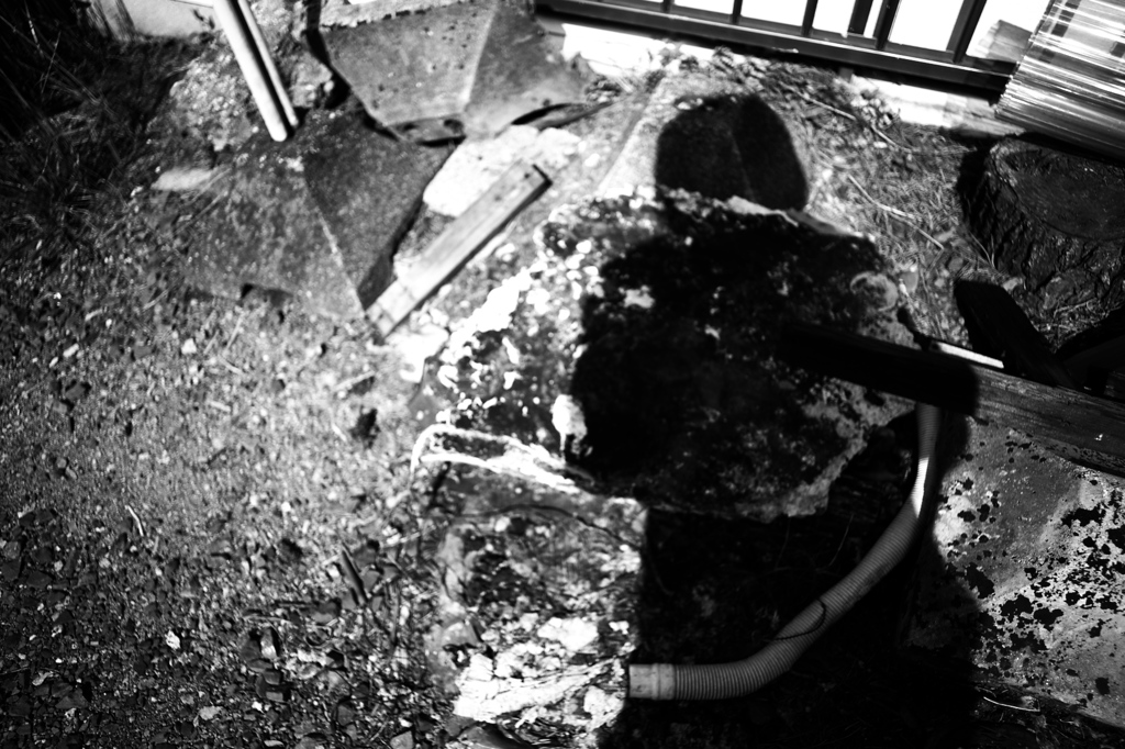 DSC09878bwSLK