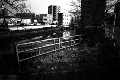 DSC02358bwSLK