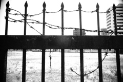 R0019448bwSLK