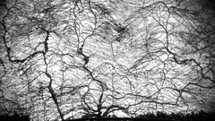 IMG_20160324_200558JPGbwSLK