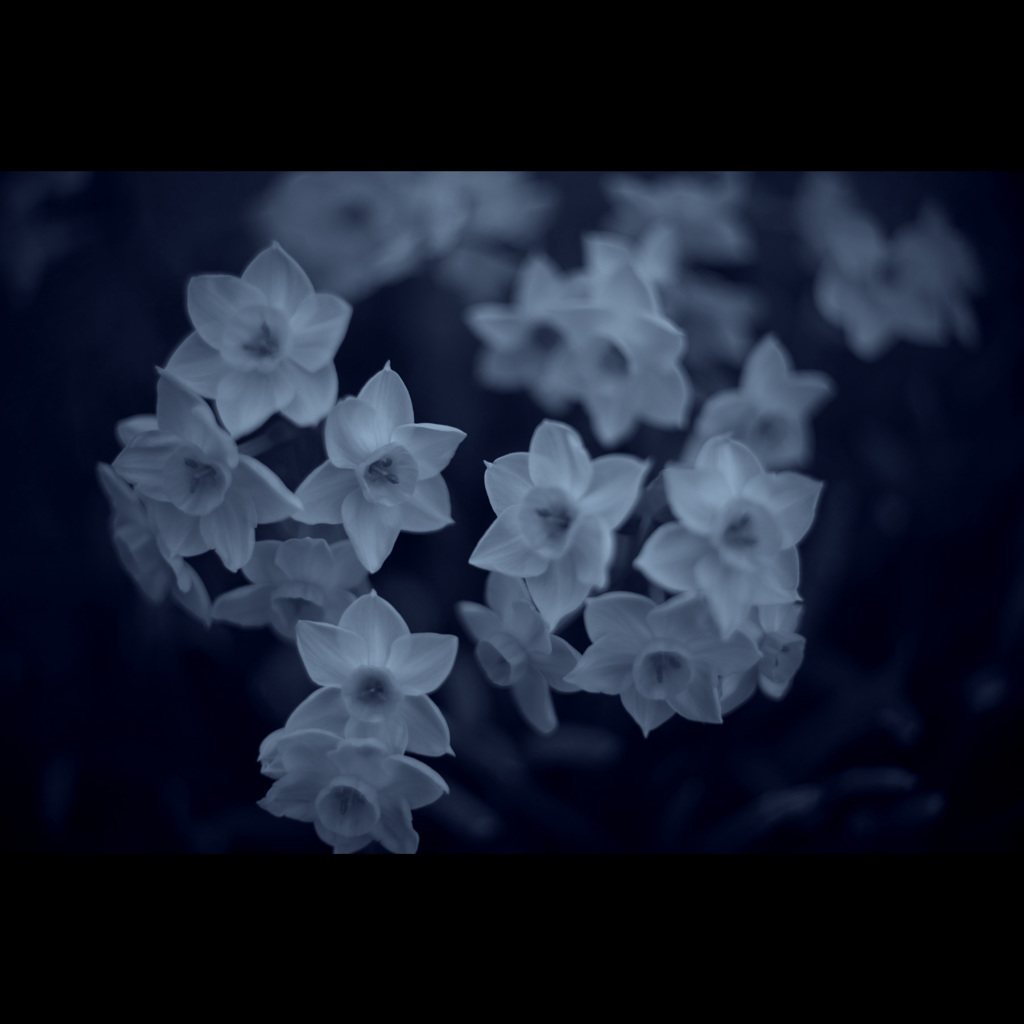 名称未設定 1.jpg